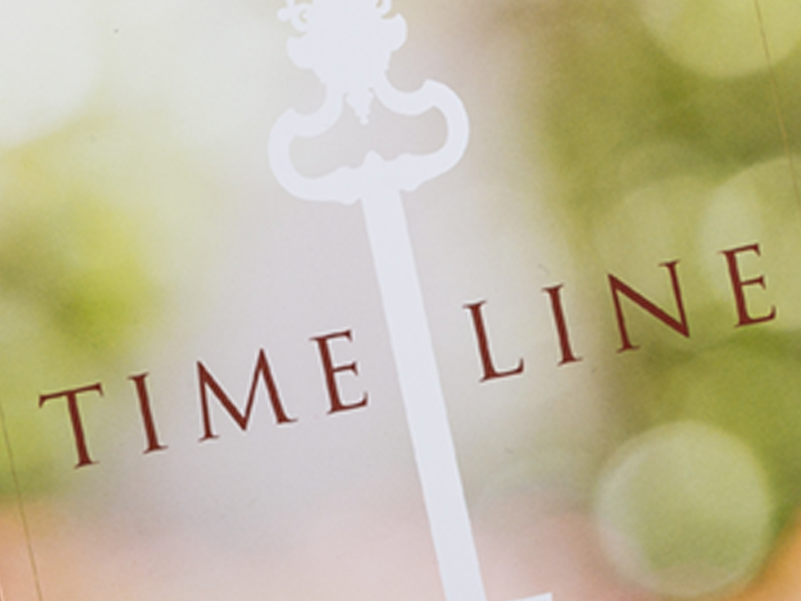 The Farms at Bailey Station Timeline Brochure