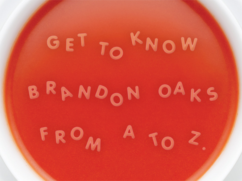 Brandon Oaks Soup & See Event Direct Mail