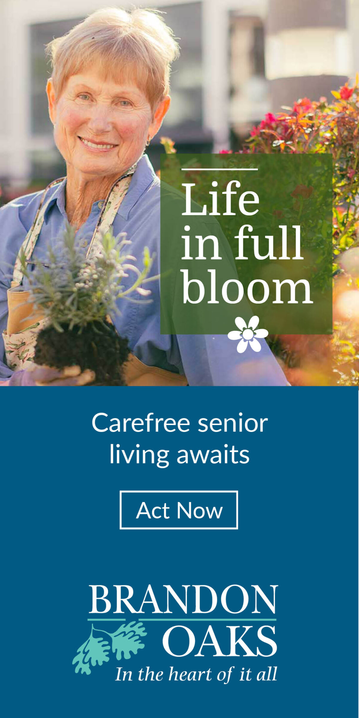 Brandon Oaks Digital Ad