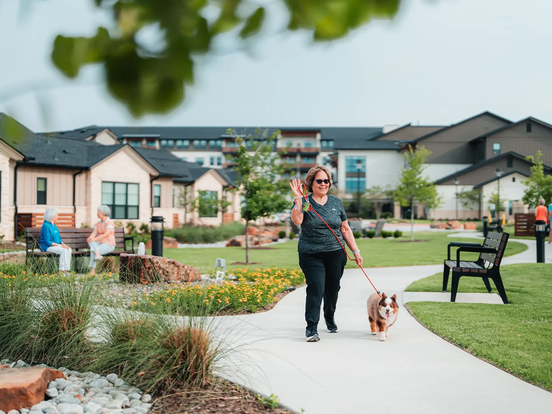 Woman walking with dog through campus walking paths.