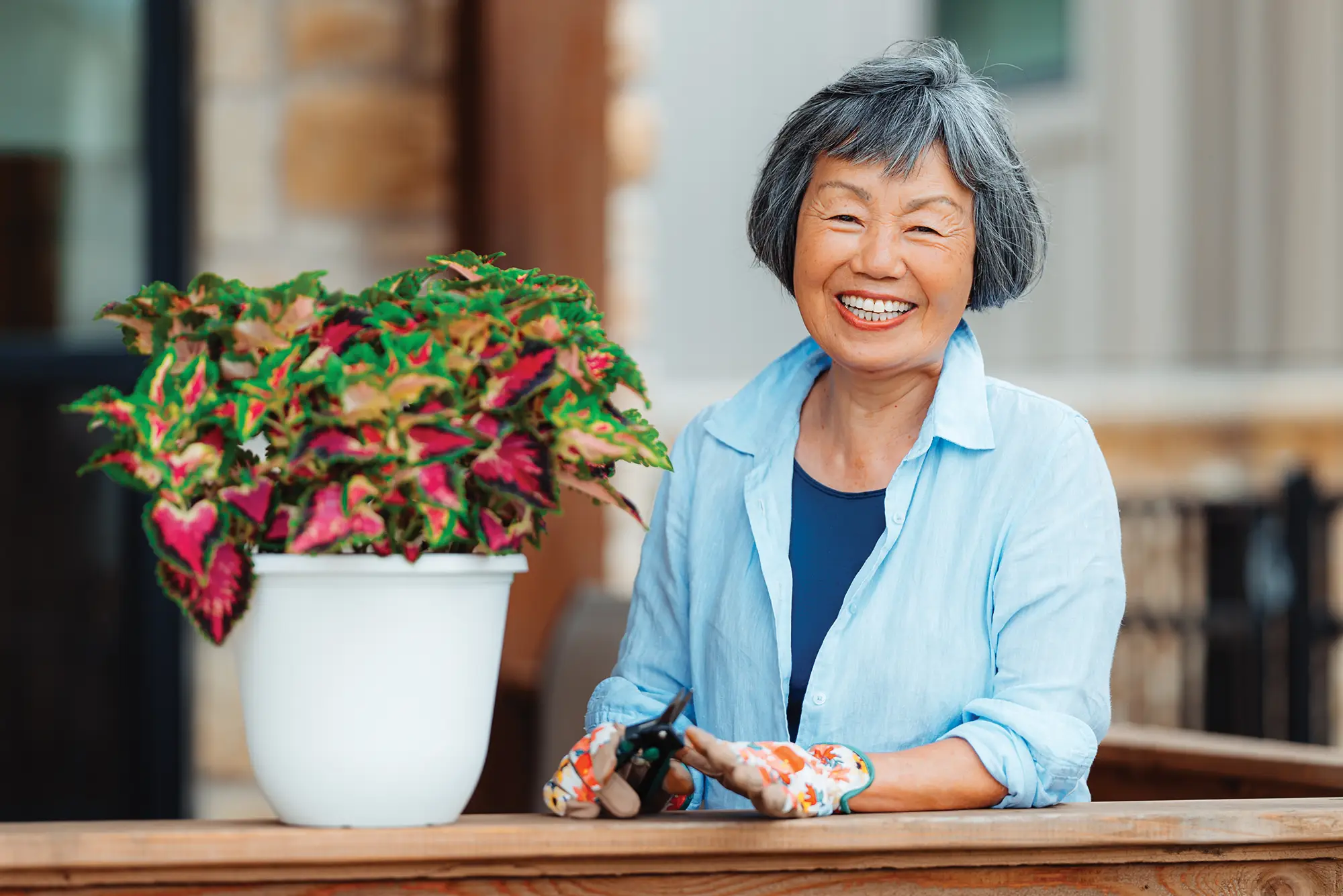 Launching a brand-new community in West Plano, TX